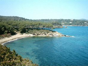 Der Strand bei Capoliveri